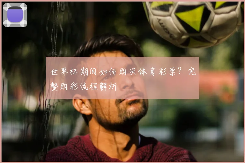 世界杯期间如何购买体育彩票?完整购彩流程解析