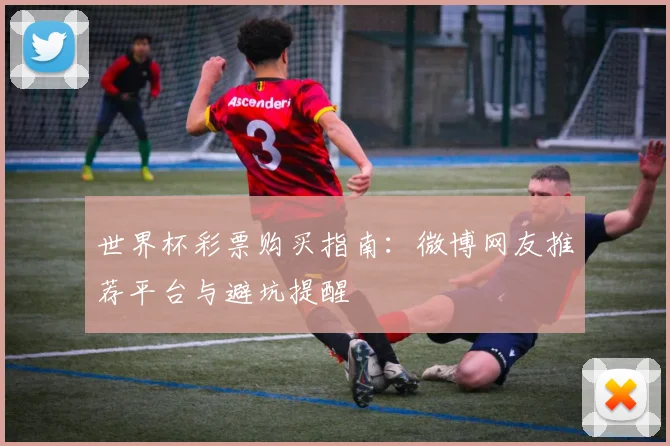 世界杯彩票购买指南:微博网友推荐平台与避坑提醒