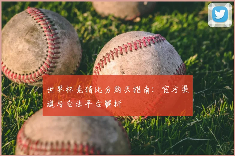 世界杯竞猜比分购买指南：官方渠道与合法平台解析