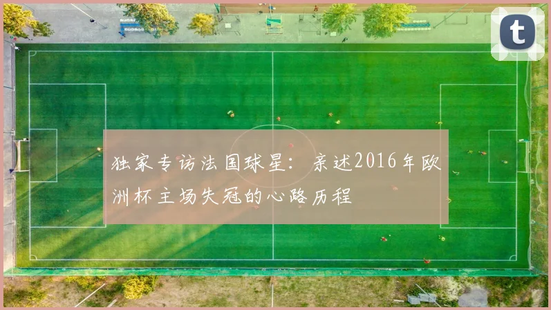 独家专访法国球星:亲述2016年欧洲杯主场失冠的心路历程