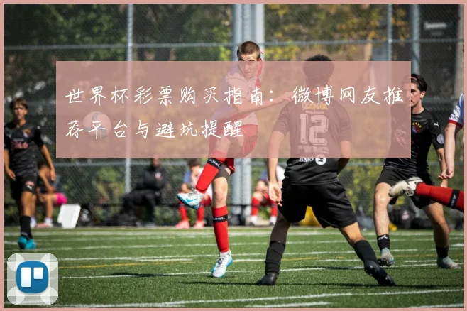 世界杯彩票购买指南:微博网友推荐平台与避坑提醒